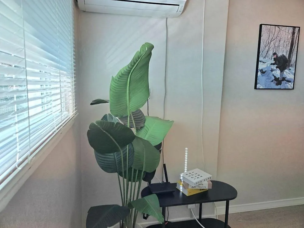 Eulwangri Hana Pension Incheon 3*,  Korsel